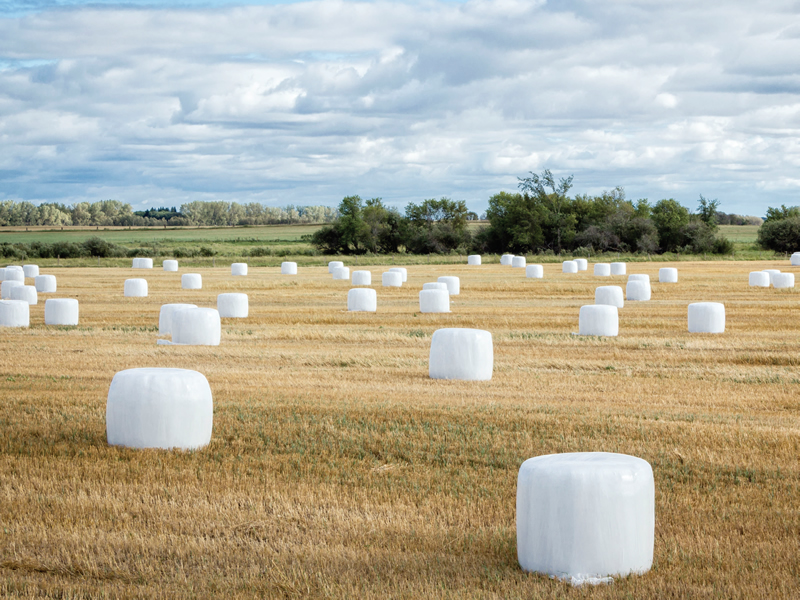 silage wrap film