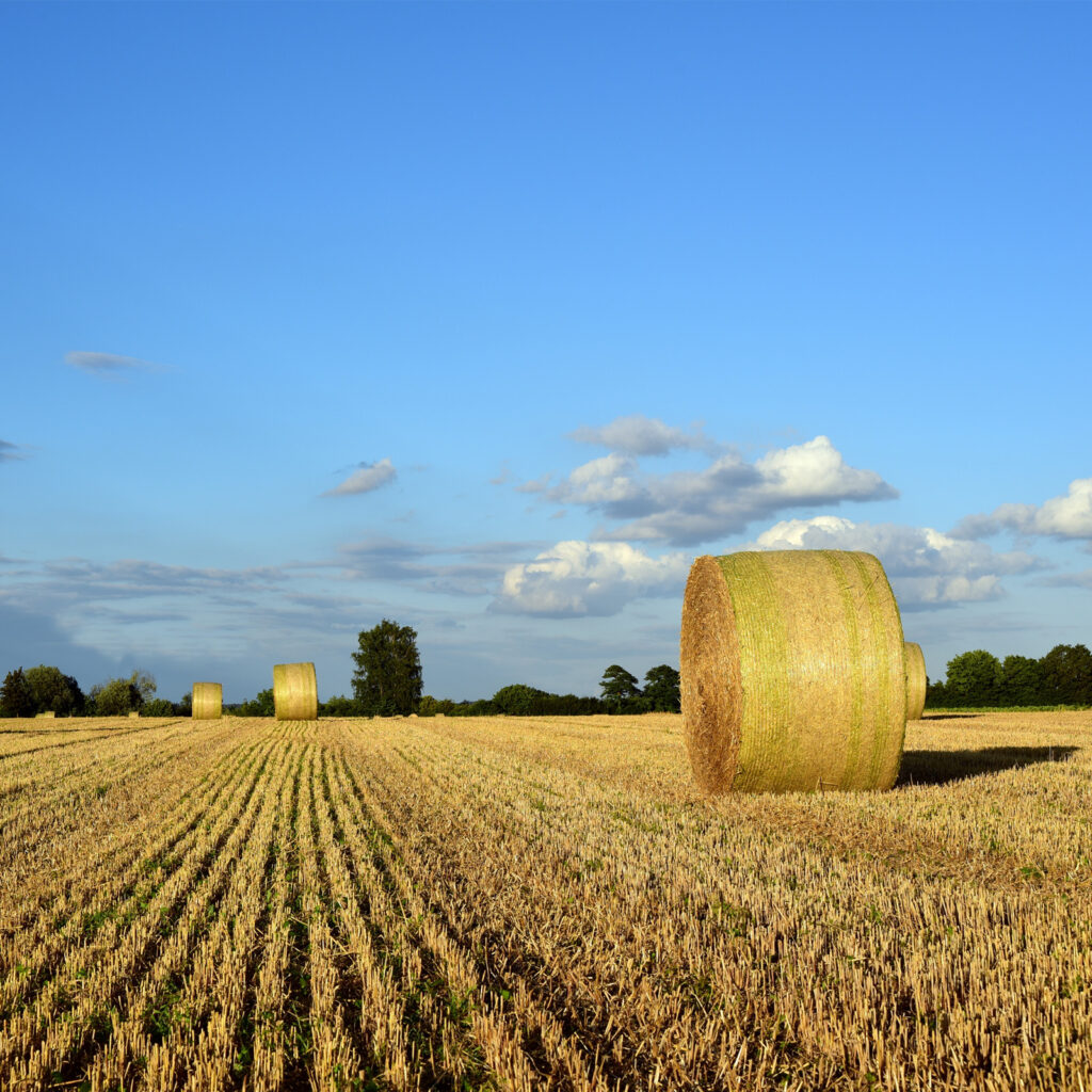 bale wrap net